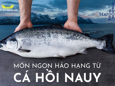 BÍ QUYẾT LÀM MÓN SASHIMI CÁ HỒI NA UY NGON NHẤT