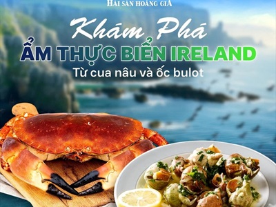 KHÁM PHÁ ẨM THỰC BIỂN IRELAND TỪ CUA NÂU VÀ ỐC BULOT