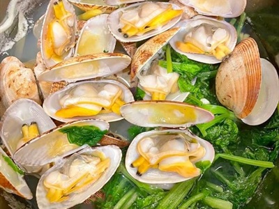 NGAO HAI CỒI NHA TRANG