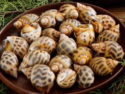 ỐC HƯƠNG (Size 100 - 110 con)